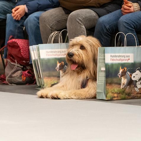 DOGLIVE2025_Sonstiges_Geschenktüte_CarstenPöhler