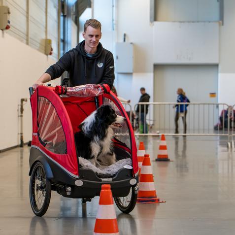 DOGLIVE2025_DOGaction_Fahrradparcours_CarstenPöhler