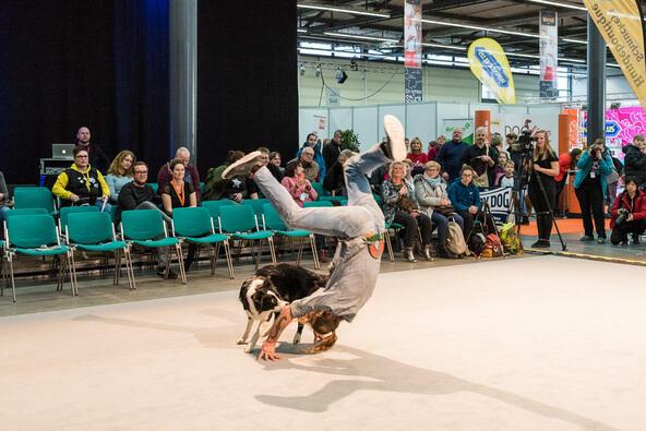 Mann macht mit seinem Hund einen Handstand