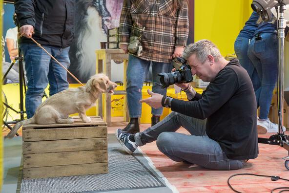 Doglive_Dogaction_Schnappschuss-Shooting-2024_Carsten-Poehler-80 Hund beim Schnappschuss-Shooting