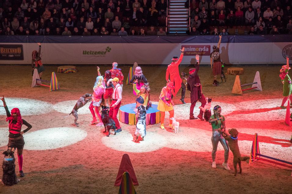 Doglive_Dogshow_Gala_Carsten-Poehler-4 Hunde zeigen Tricks