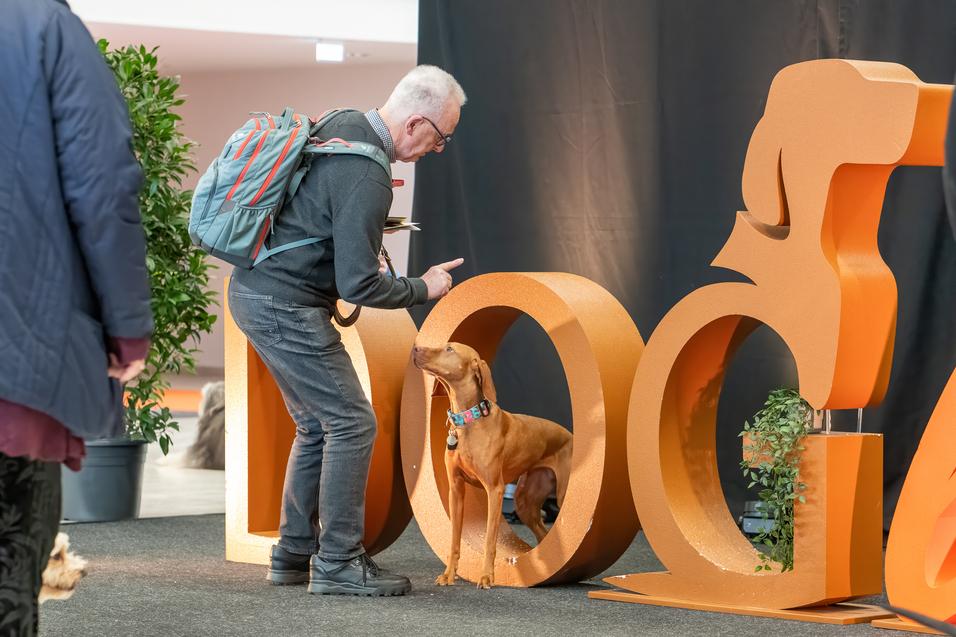 Doglive_Eingangsbereich_Logo_Carsten-Poehler-2 Hund vor dem Doglive Logo