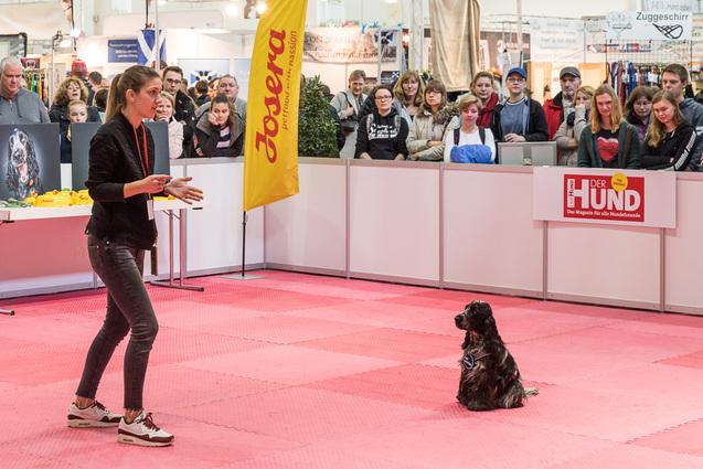 Frau h&auml;lt einen Vortrag