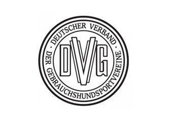 Logo DVG